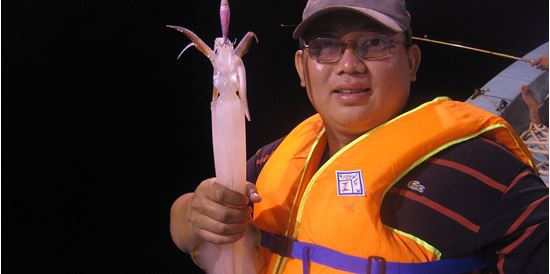 Tour Câu Mực Đêm Phú Quốc