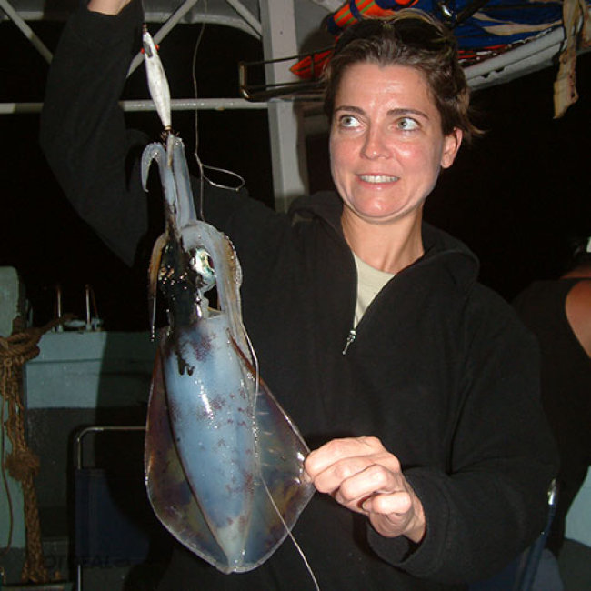 Tour Câu Mực Đêm Phú Quốc