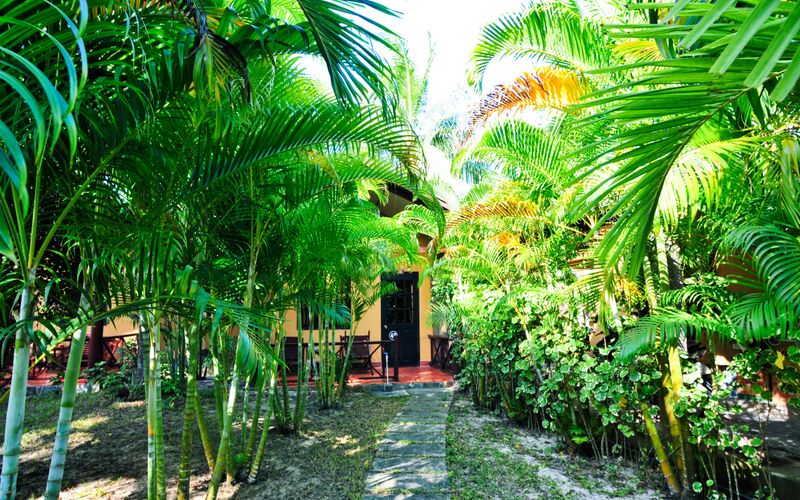 RESORT SEA STAR PHÚ QUỐC / KHÁM PHÁ PQ TRAVEL