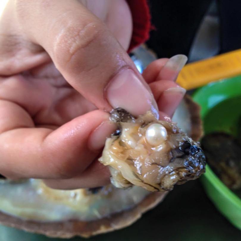 Tour du lịch Phú Quốc / 3n2đ