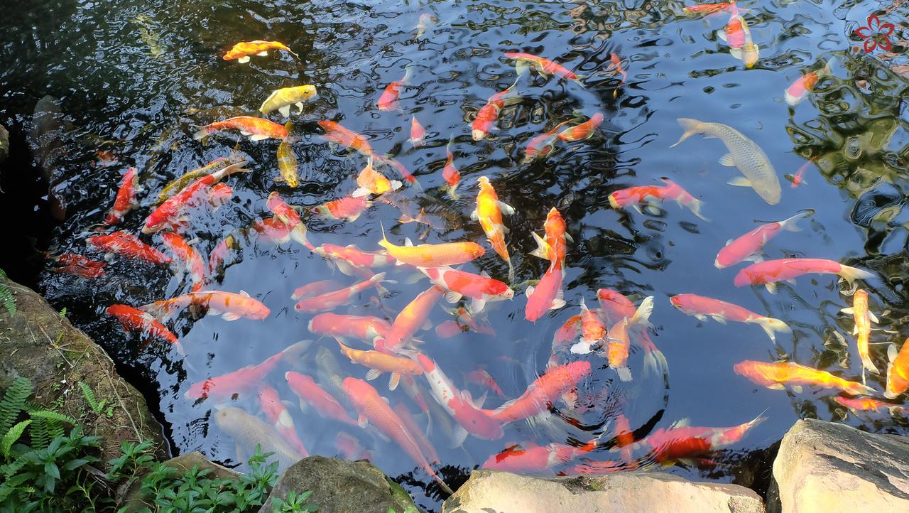 Resort Lahana Phú Quốc