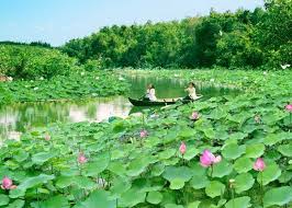 Tour Miền Tây Nam Bộ / 4n3đ