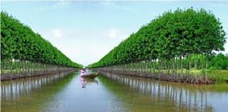 Tour Miền Tây Nam Bộ / 4n3đ
