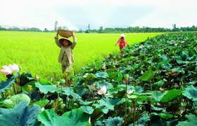 Tour Miền Tây Nam Bộ / 4n3đ