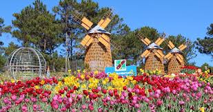 Tour Nha Trang – Đà Lạt / 5n4đ