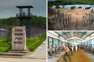 Nhà tù Phú Quốc – “ địa ngục trần gian “
