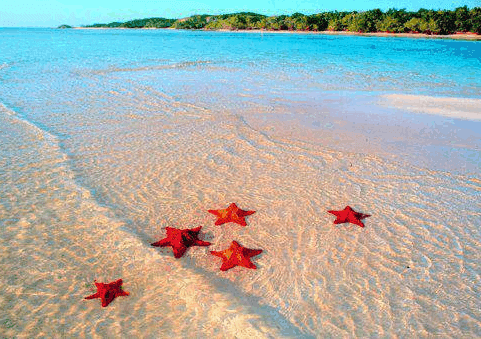 Sao Biển tour Phú Quốc 1 ngày