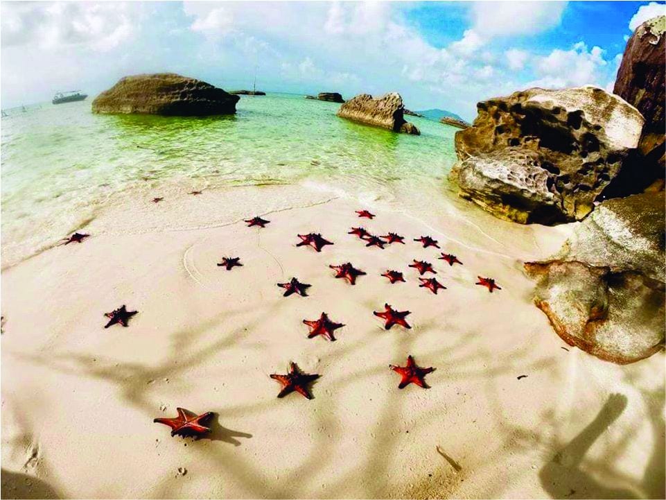 Sao Biển tour Phú Quốc 1 ngày